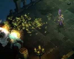 locust swarm