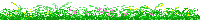 line-116.gif