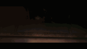1003-S.gif