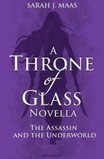 玻璃王座 Throne of Glass 