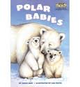 polar babies