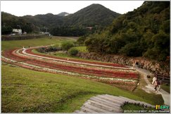 2013,01,19【大溝溪親水公園】台北內湖旅遊玩樂景點｜捷運大湖站旁登山步道新發現，巷弄祕密踏青遛狗景點010