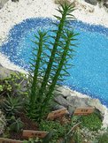 DSCN0264.JPG