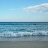IMGP0917.jpg
