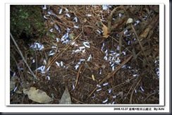 clip_image028