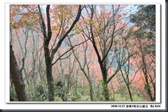 clip_image119