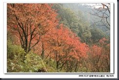 clip_image123