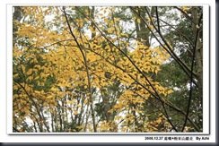 clip_image145