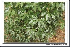 clip_image147