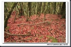 clip_image137