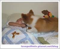 15 2007 July 01 006.jpg