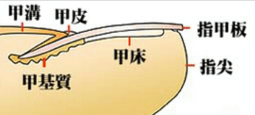 李姝姸部落格