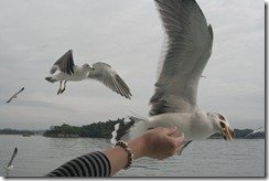 IMG_6903