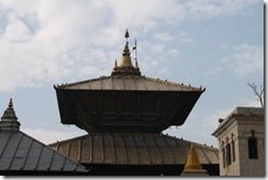 IMG_0941