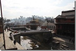 IMG_0947