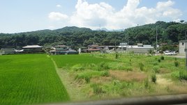 DSC04088.JPG