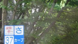 DSC01355.JPG