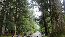 DSC01438.JPG