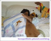 16 2007 July 01 007.jpg