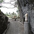 DSC06227.JPG