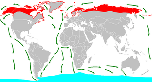 375px-Sterna_paradisaea_distribution_and_migration_map.png