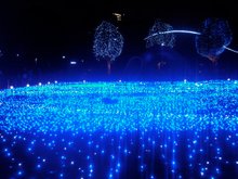 DSC03866.JPG