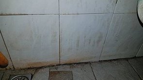 35266262_1921489544548210_7426035404387647488_n.jpg