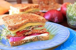 sandwich.jpg