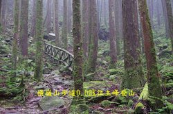 B14-IMGP2189-橫嶺山步道0.02K.jpg