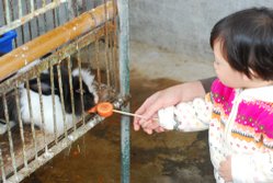 tn_DSC_2335.JPG
