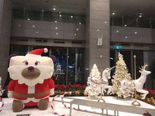 IMG_20181202_194138.jpg