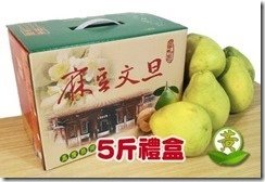 麻豆文旦5斤裝