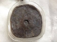 S__12042262.jpg