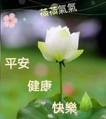 荷花.jpg