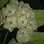 201311083787.jpg