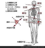 脊椎