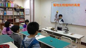 新竹市安親班-佑孳植物花果實種子(3上)