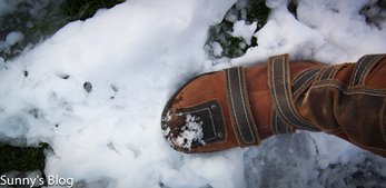 Boot in the snow.jpg