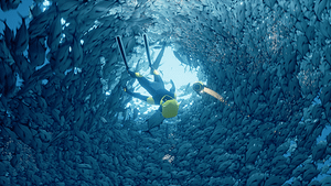 ABZU_20170510112450.png