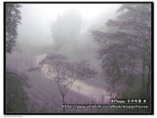 下一張(熱鍵:c)