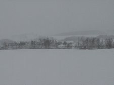 IMG_1782.jpg