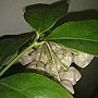 201311073774.jpg