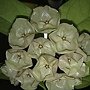 201311083789.jpg