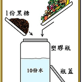 圖片15
