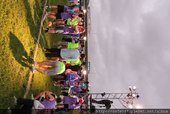IMG_2446.JPG