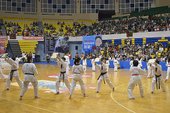 DSC_0033.jpg