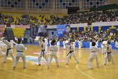 DSC_0034.jpg