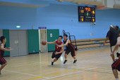 DSC_0162.jpg