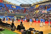 DSC_0049.jpg