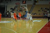 DSC_0281.jpg